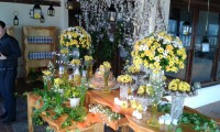 /album/eventos-realizados-/a14-jpg/
