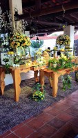 /album/eventos-realizados-/a15-jpg/